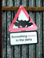 Scary Dairy