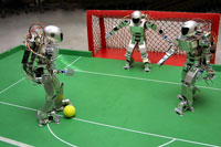 Some people are on the pitch. They think it's all over!