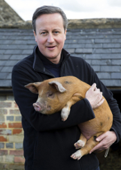 David Cameron and lover